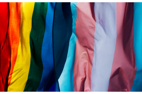 AB’s proposed transgender legislation- new Regional action resource